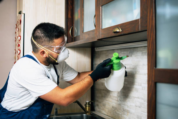 Best Local Pest Control Services  in Fairlawn, OH