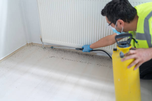 Best Wasp Removal Services  in Fairlawn, OH