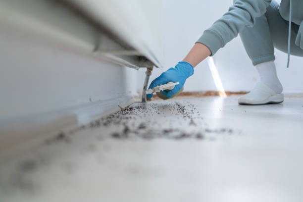 Wildlife Control Services in Fairlawn, OH